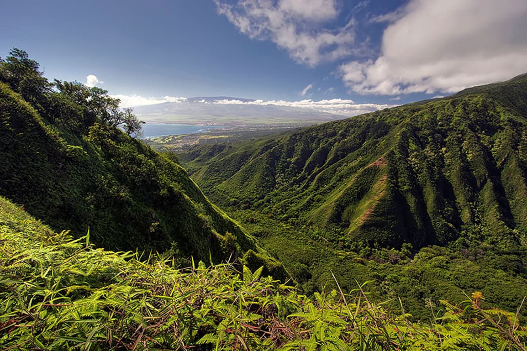 Kahului, United States